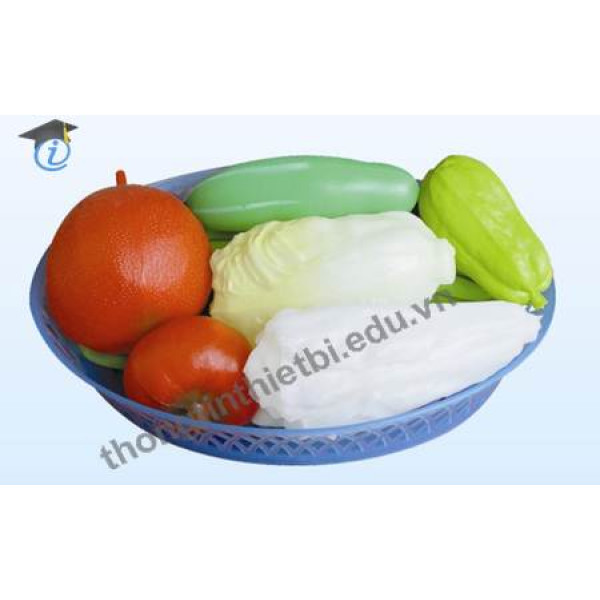 Bộ dinh dưỡng 2 